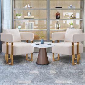 TS Modern decorative chair, living room side chair with gold metal legs, no wheels, suitable for dressing area, reception room, office